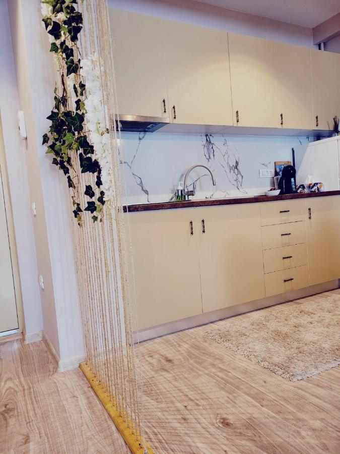 Vega Apartment By Moonlight Mamaia Extérieur photo